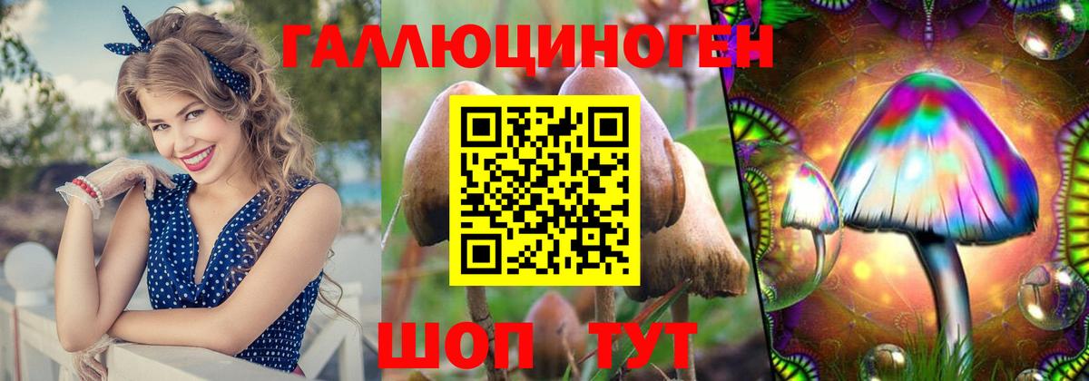 Псилоцибиновые грибы Psilocybine cubensis  Вход с VPN  Лыткарино 
