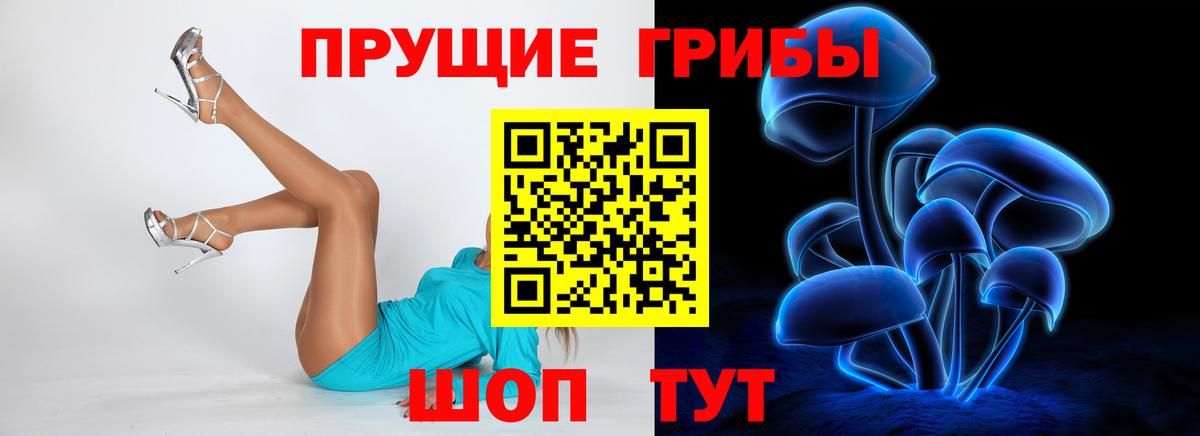Галлюциногенные грибы Magic Shrooms Лыткарино